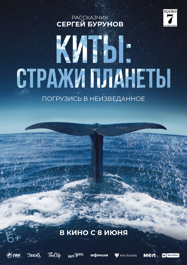 Кино радио 7